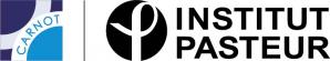 Logo IP Carnot