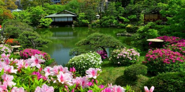 Garden 2