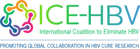 ICE HBV logo